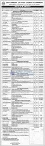 Sindh Energy Department Jobs 2016 Application Form Download Last Date of Submission