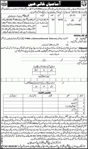 Punjab Family Welfare Worker Jobs 2016 Population Welfare Department Application Form