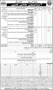 Bahawalnagar Population Welfare Department Jobs 2016 Application Form Online Submission